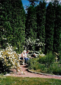 herb-garden - 2003-2005